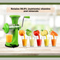 Fruit Juicer